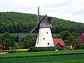 Holländerwindmühle Struckhof in Hüllhorst