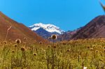 1. Aconcagua – 6 962 m (2:a i världen).