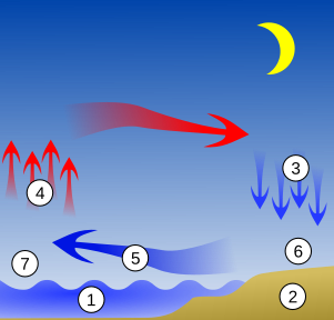 Bryza nocna: 1 – ciepła woda, 2 – chłodny ląd, 3 – chłodne powietrze, 4 – ciepłe powietrze, 5 – suche, zimne powietrze, 6 – wyż, 7 – niż