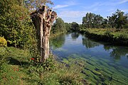 La Canche a La Madelaine-sous-Montreuil;