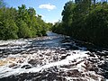 Pedja allpool Härjanurme paisu