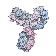 Structuurformule van pembrolizumab