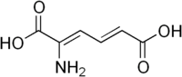 Skeletal formula of 2-aminomuconic acid