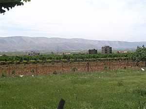 Deng tanaman a ubas king Zahle, king kalibudtan ning Bekaa Valley