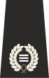 Special Constabulary Deputy Chief Officer Insignia