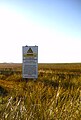 Donna Nook saltmarshes, North East Lincolnshire