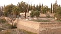 Cimetière juif de Oujda