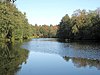 Scoulton Mere