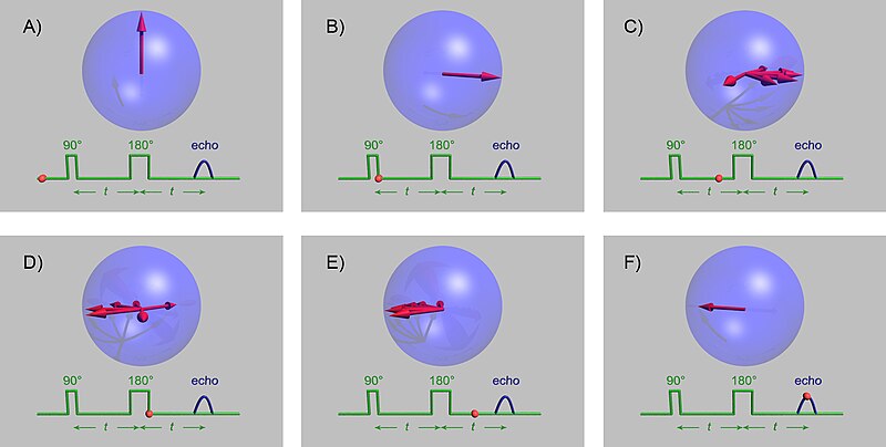 The spin-echo sequence