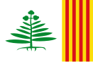 Bandera