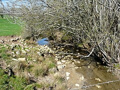 Le bras inférieur du Boulou à Saint-Crépin-de-Richemont, près du lieu-dit les Brageaux.