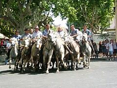 Abrivado à Calvisson