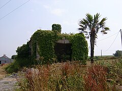 Les écuries et le jardin exotique