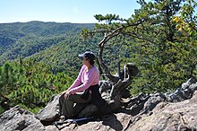 Chandonnet at the top of the Chestnut Ridge trail in South Mountains State Park in North Carolina