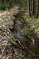 Bachlauf im Effelder Wald