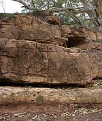 Rocks with a bronze marker for the Ediacaran period