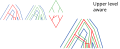 Two levels can be reconciled with the constraint of an upper one, for instance host and symbiont with geography.