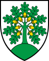 Coat of arms of Montanaire