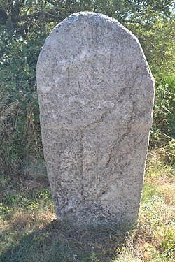 Image illustrative de l’article Statues-menhirs du Mas-Viel