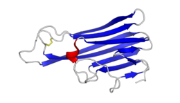 Render of structure of a single TNF monomer.