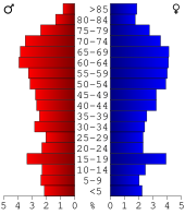 Bevolkingspiramide Towns County