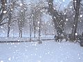 雪のサムネイル