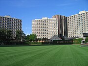 View from the field, 2008.