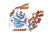 1gg2​: G proteinski heterotrimerni mutant Gi-alfa_1 (G203A) beta_1 gama_2 sa vezanim GDP