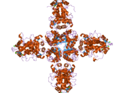 2i2r: Crystal structure of the KChIP1/Kv4.3 T1 complex