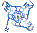 Parallel_telomere_quadruple.png (19 times)