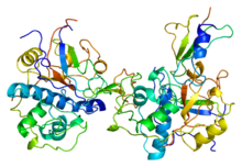 Protein CD74 PDB 1icf.png