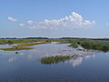 Vogelreservaat Wallnau (297 ha) aan de westkust van Fehmarn