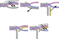 Technik des Wasserfallzopfes