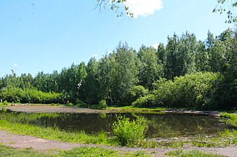 Пруд возле ДСИ «Зенит»