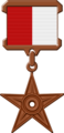 Medalje Indonezia