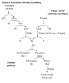 Simple version (based on Berg et al.)