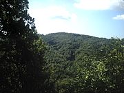 Colline selvose del Fallà