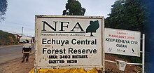 Echuya Forest reserve