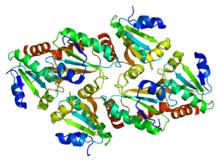 Protein TXN2 PDB 1uvz.png