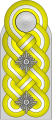 Shoulder board (Waffen-SS)