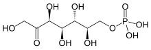 Sedoheptulose 7-phosphate.svg