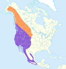 Range of red-shafted group