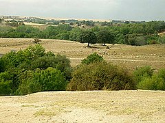 Iberiar goi-lautada, Ávila