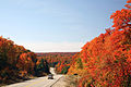 Image 12Algonquin Provincial Park (from Eastern Ontario)