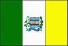 Flag of Vianópolis