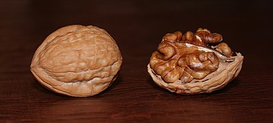 File:English Walnuts.jpg (2007-04-26)