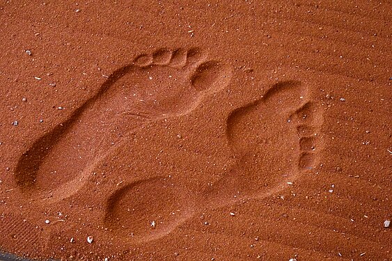 Human footprints on red sand of Kalahari desert, Anib-Lodge, Namibia