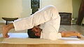 Halasana Ploeg