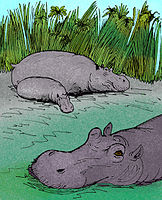 Hippopotamus gorgops