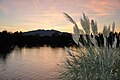 Lac Sant Marti devant le Canigou